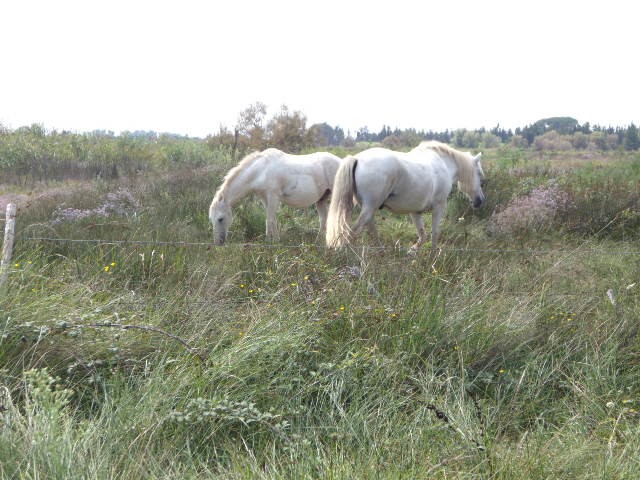 Photo de profil de jeanneetrosette