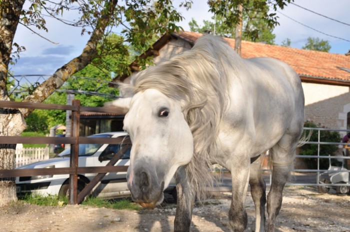 Photo de profil de mejicano