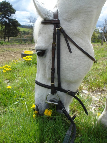 Photo de profil de indyjulie