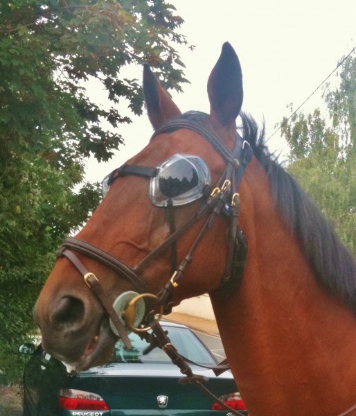 Photo de profil de ritchie