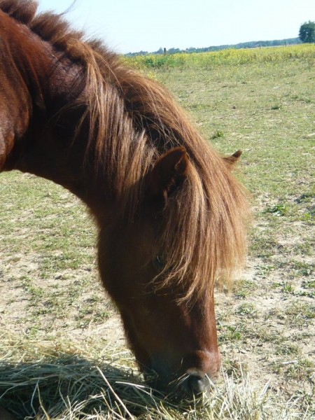 Photo de profil de colineetkiwi
