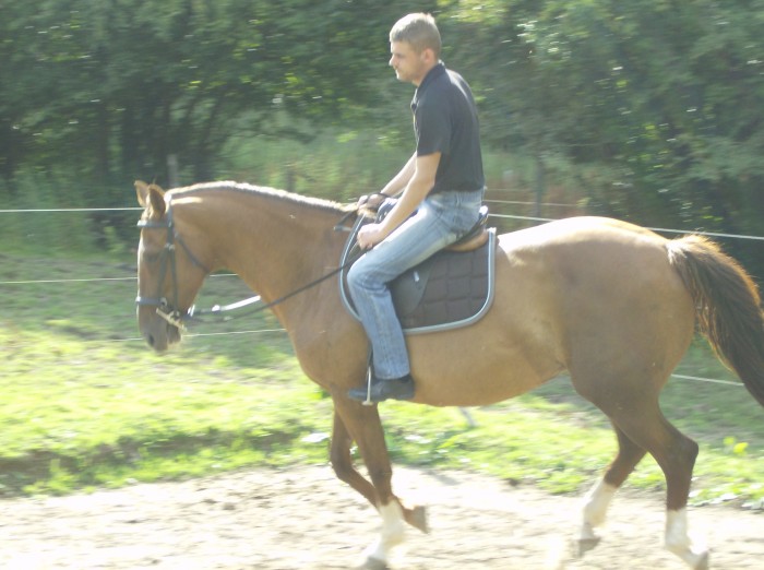 Photo de profil de sabivstinange