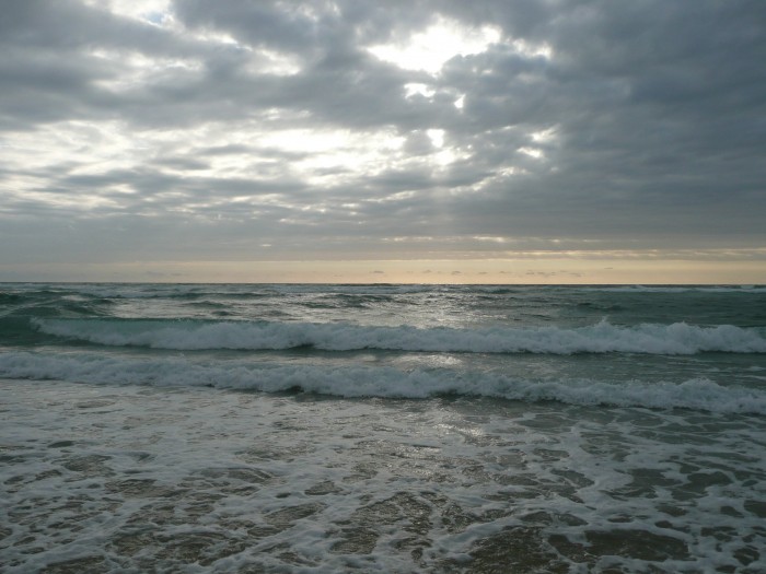 Photo de profil de pucca31