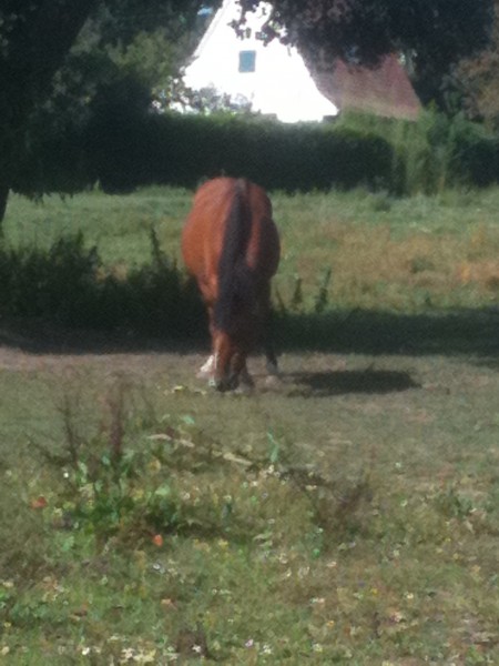 Photo de profil de cayenne77