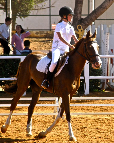 Photo de profil de lauuure34