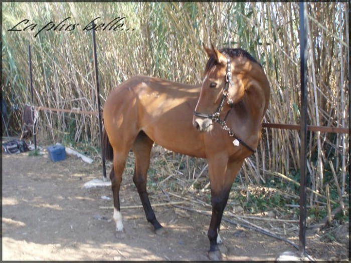 Photo de profil de pennequin