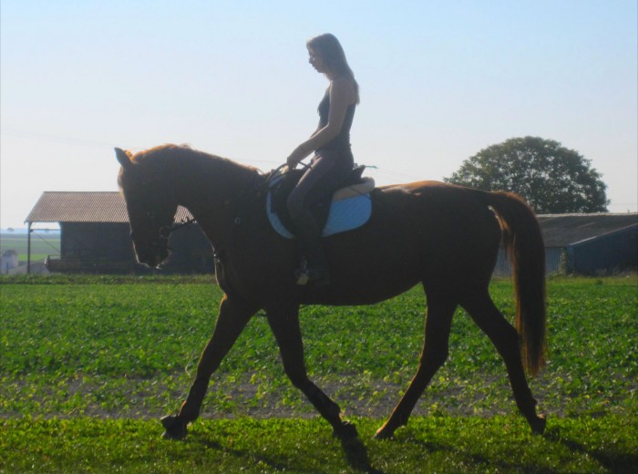 Photo de profil de melody51