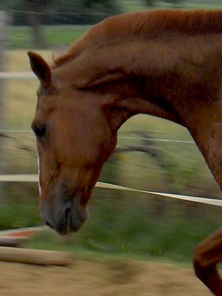Photo de profil de lefeamil