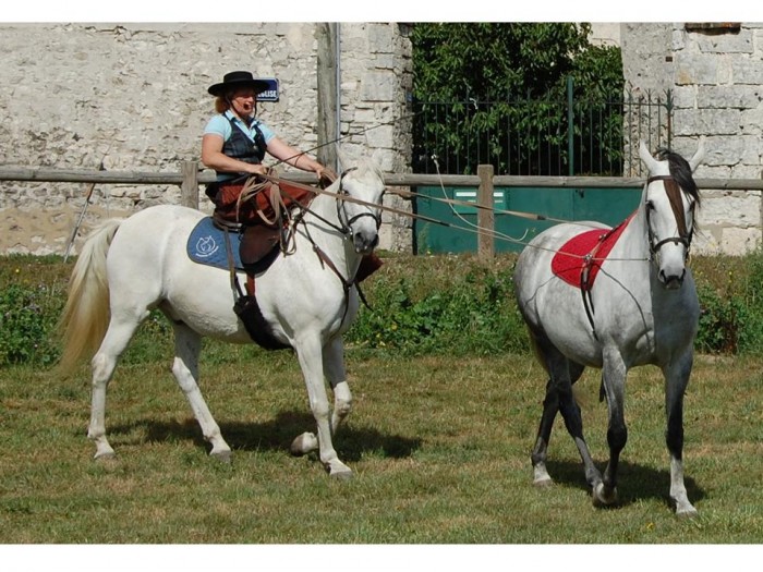 Photo de profil de cinzenta