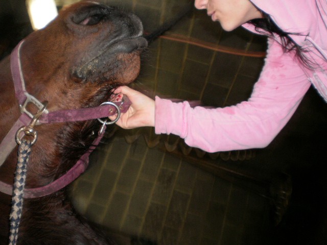 Photo de profil de devianne