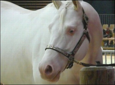 Photo de profil de tizaorha81