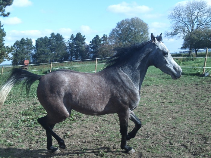 Photo de profil de sati62