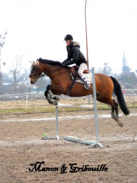 Photo de profil de drinda13