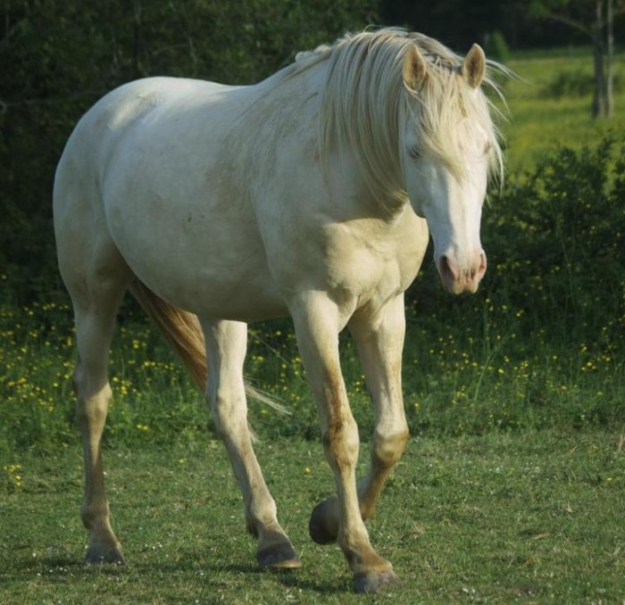 Photo de profil de lestountous