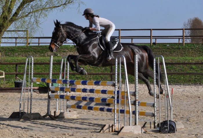 Photo de profil de julie9562