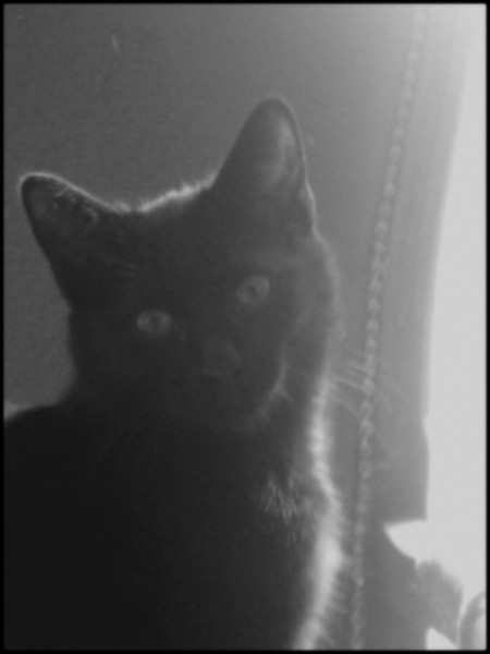 Photo de profil de foobedoo