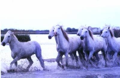 Photo de profil de vindy