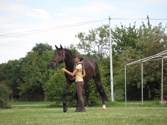 Photo de profil de loty