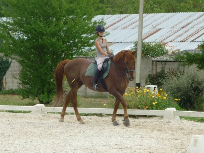 Photo de profil de chloe78990