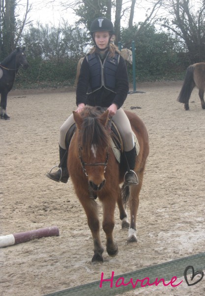 Photo de profil de vidadecaballo