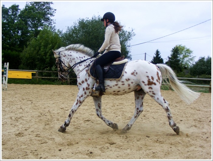 Photo de profil de ouragan78