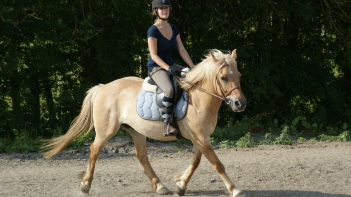 Photo de profil de caro650