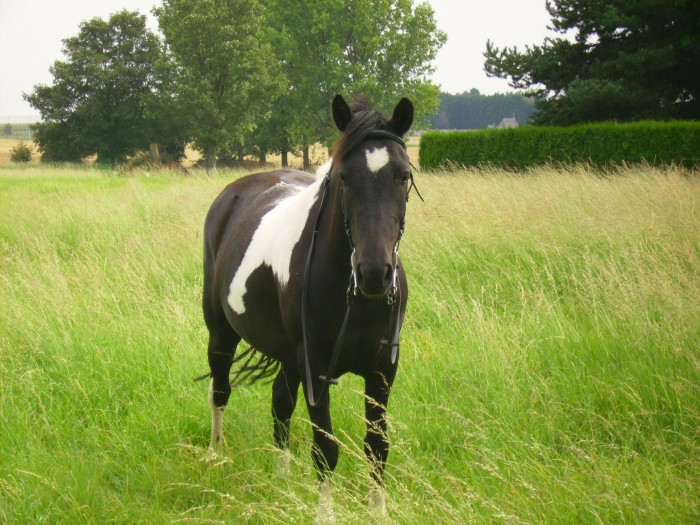 Photo de profil de caro62