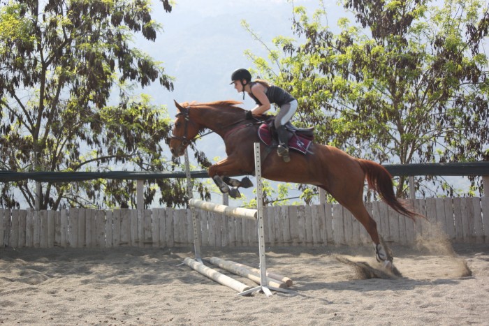 Photo de profil de jessyjerem