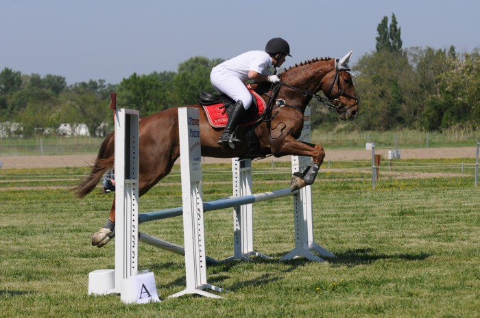 Photo de profil de berber84
