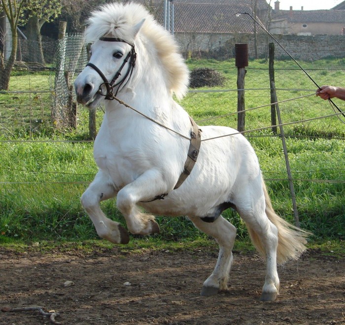 Photo de profil de lamiel