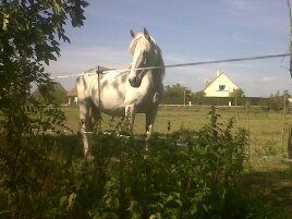 Photo de profil de timika