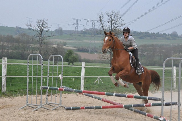 Photo de profil de alicia.l