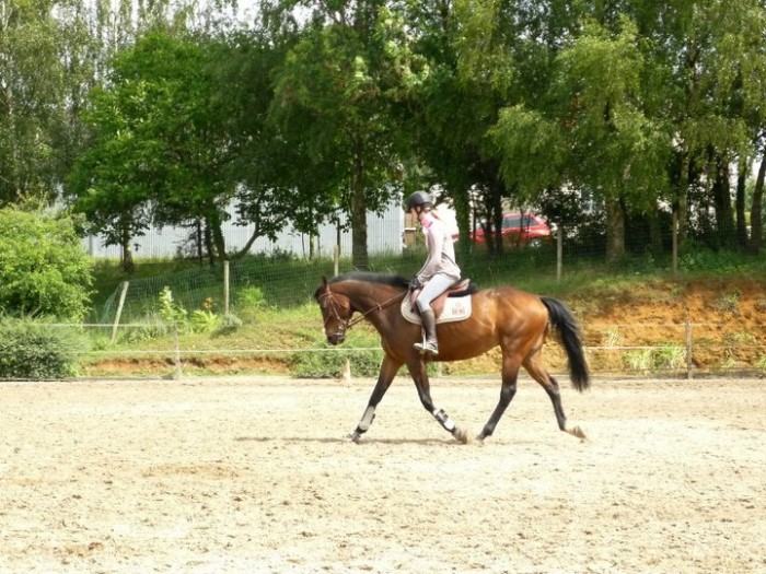 Photo de profil de cristal87