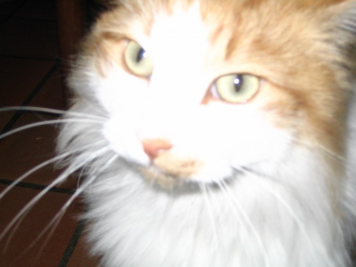 Photo de profil de colineuse3