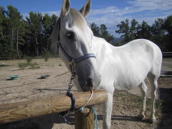 Photo de profil de maud123