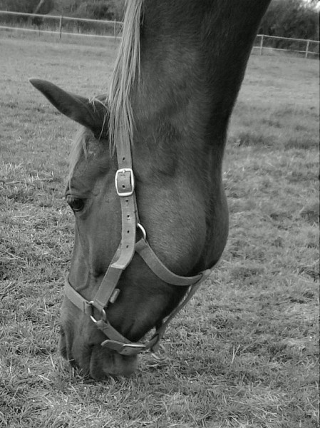 Photo de profil de constance49000