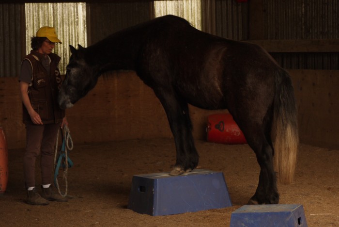 Photo de profil de cabaro