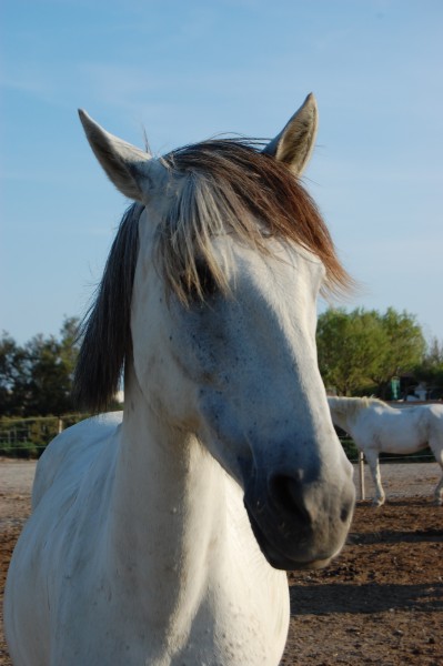 Photo de profil de joulais557