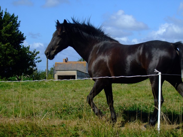 Photo de profil de mariiion