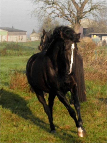 Photo de profil de beavon