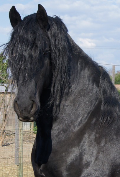 Photo de profil de pierke