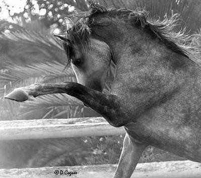 Photo de profil de lilouna