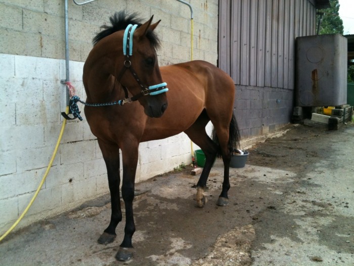 Photo de profil de marion0985