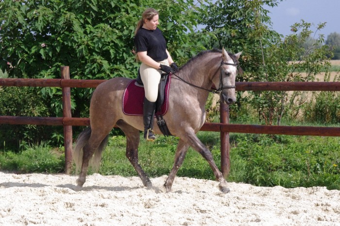 Photo de profil de horian