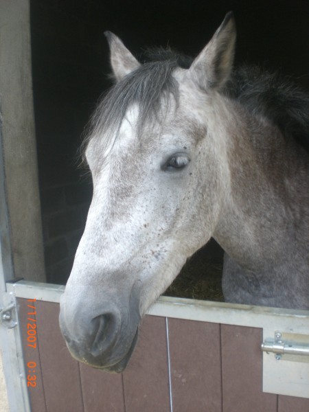 Photo de profil de kellydu78