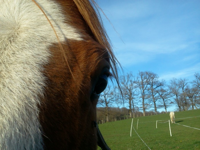 Photo de profil de miissleeaa