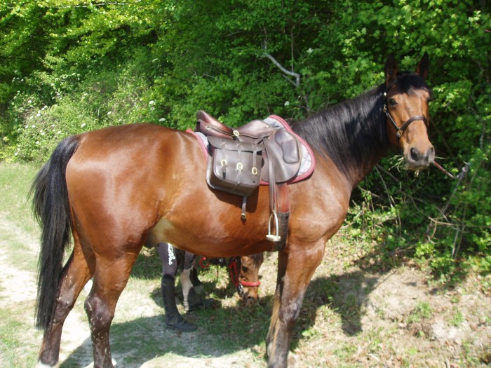 Photo de profil de zaza58