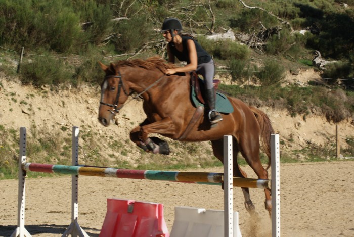 Photo de profil de chevalex