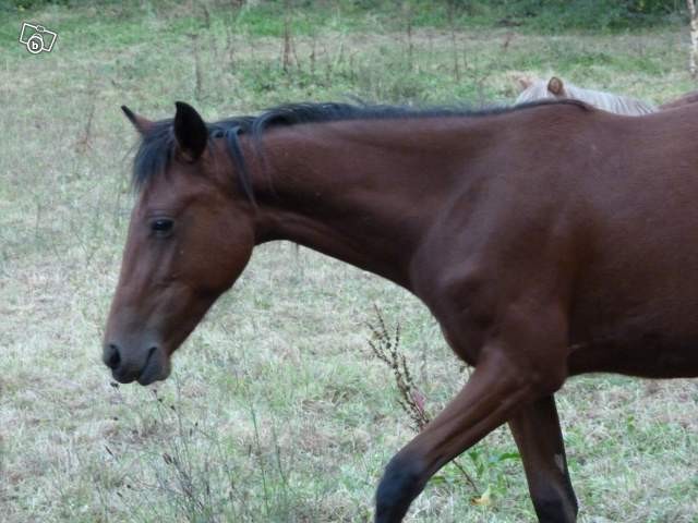 Photo de profil de moimouaa