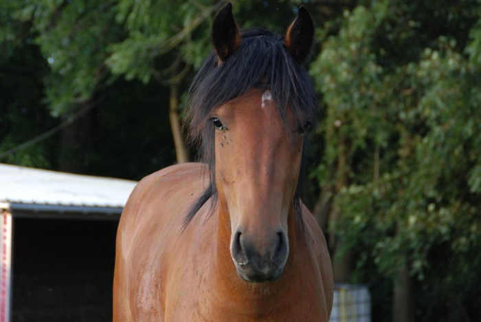 Photo de profil de eline57
